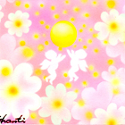 Ｈｏｐｅｆｕｌ