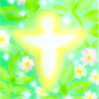光天使・成長